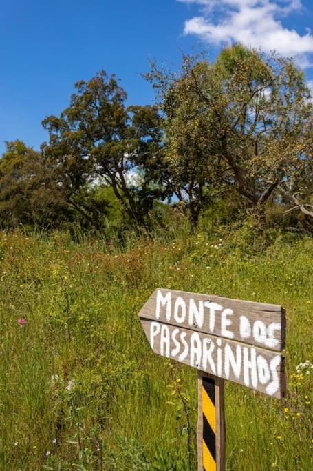 Willa Monte Dos Passarinhos Grândola Zewnętrze zdjęcie